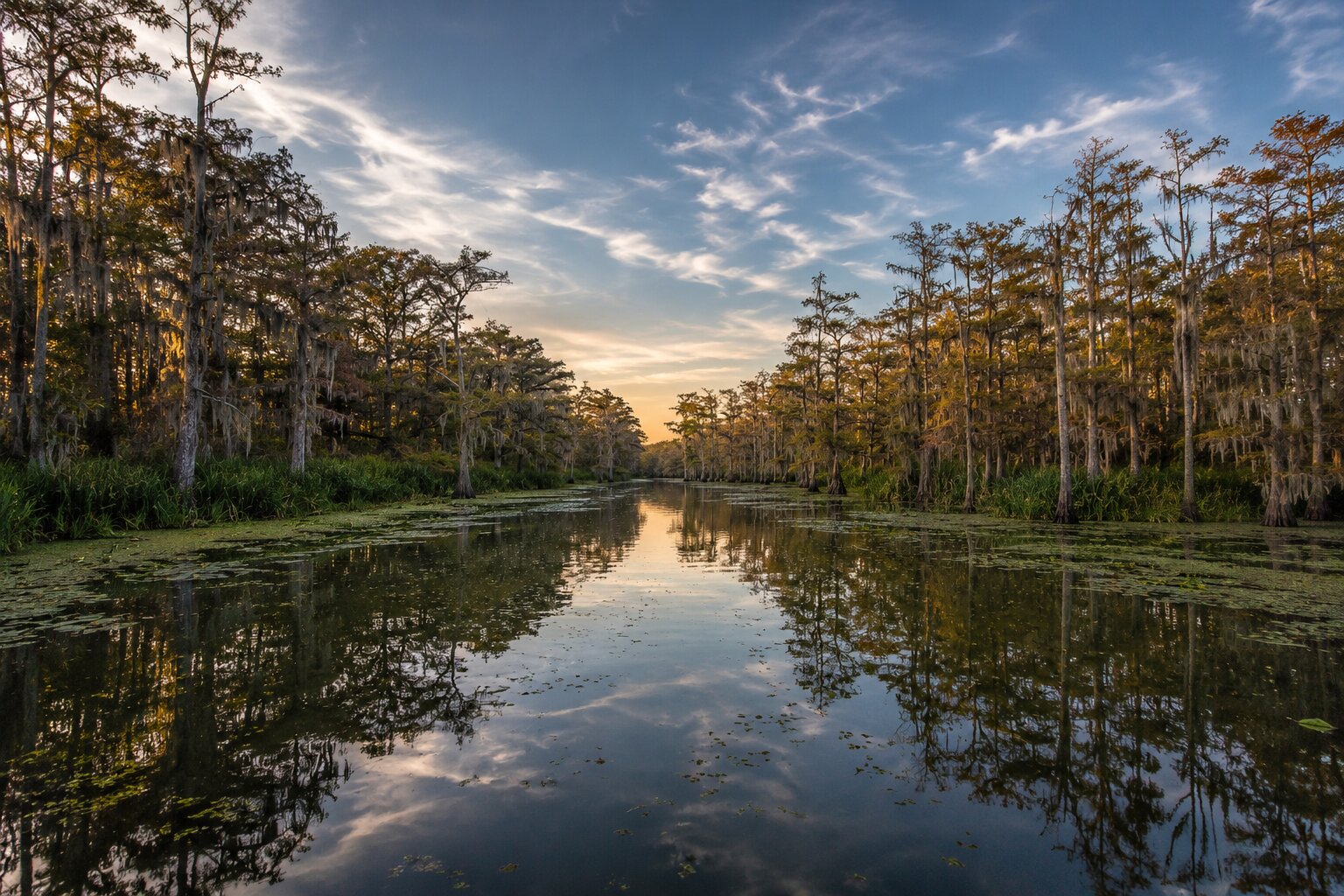 Wide view of the Louisiana bayou
